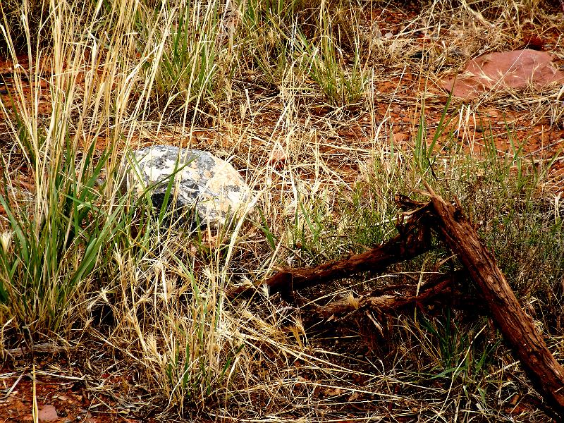 DSCF0160.JPG - Sedona - interesting rock