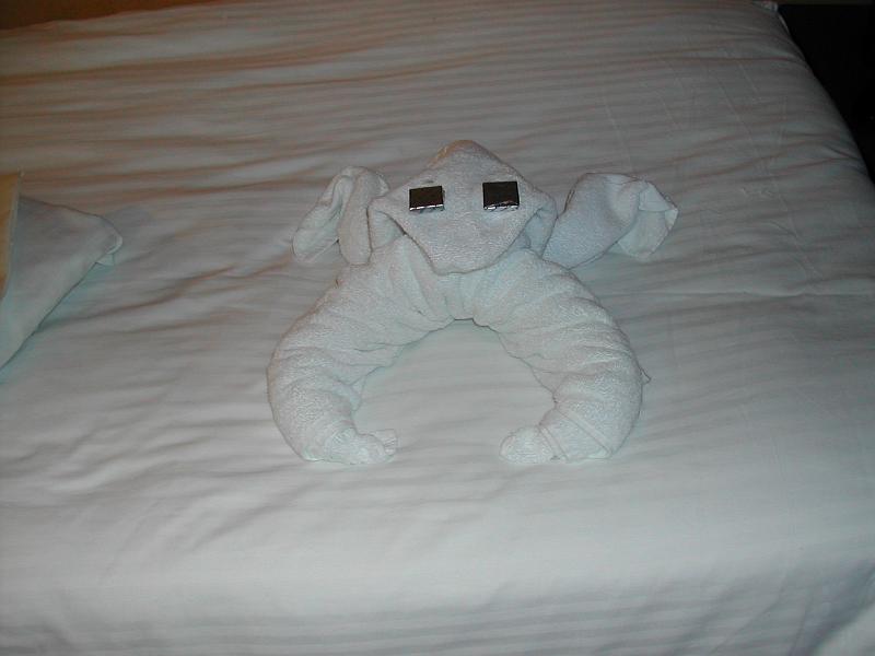 DSCN5096.JPG - The Frog towel