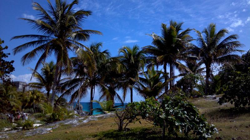 2013-01-22_12-04-18_276.jpg - Tulum