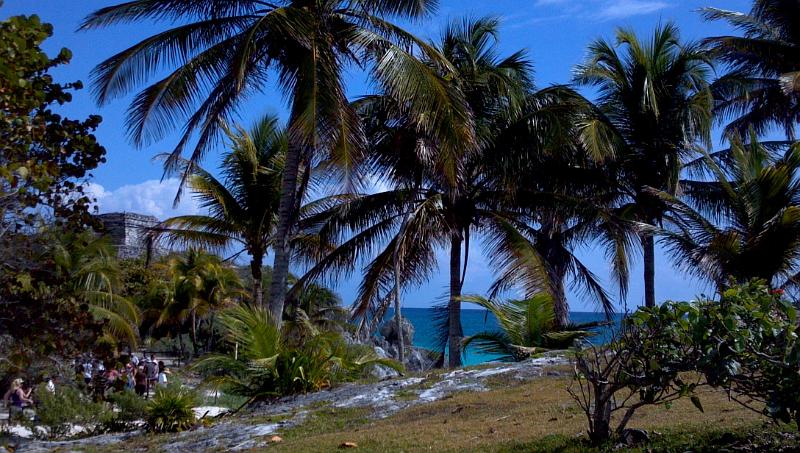 2013-01-22_12-04-46_82.jpg - Tulum