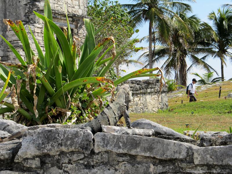 IMG_0680.JPG - Tulum.