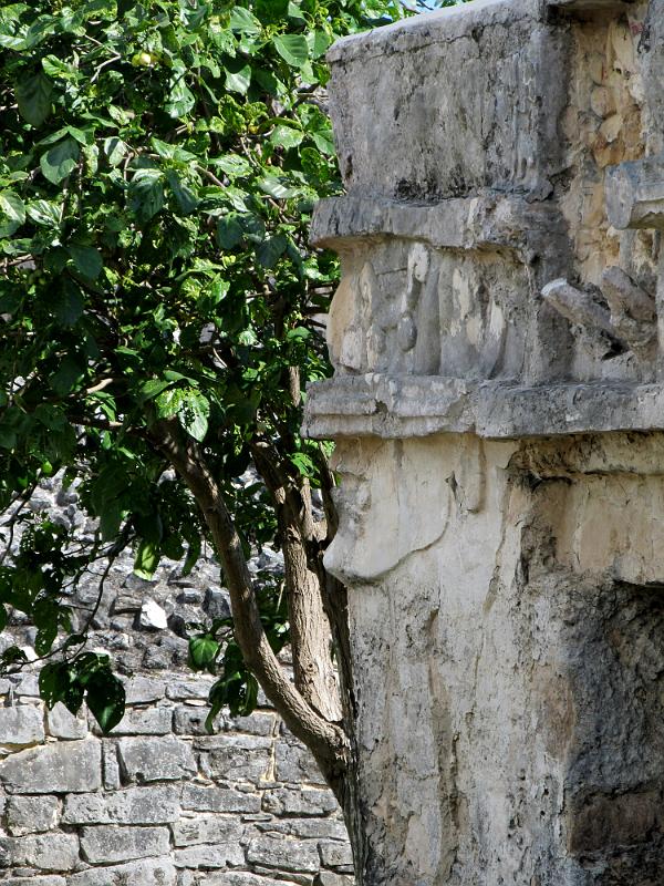 IMG_0699.JPG - Tulum - you can see the profile of the carving of the face of the Mayan god in the corner of this building.