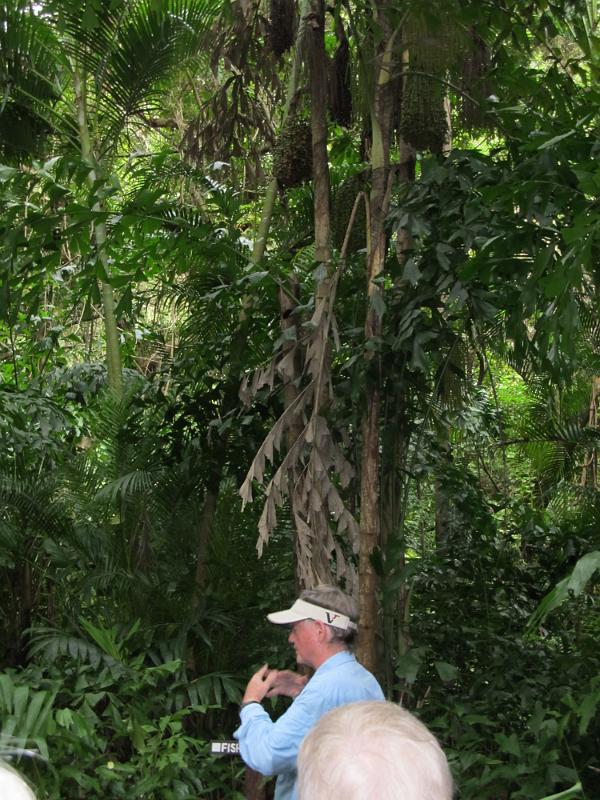 IMG_0780.JPG - Roatan Island, Honduras - Carambola Gardens