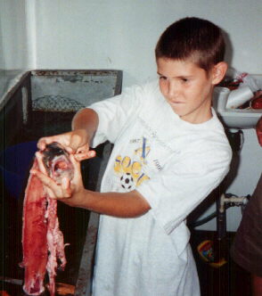 Bob is holding a "gutted" fish!